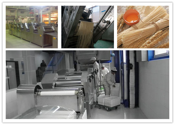 Porcellana Linea di produzione di verdure secca dei vermicelli della tagliatella del bastone alta efficienza automatica fornitore