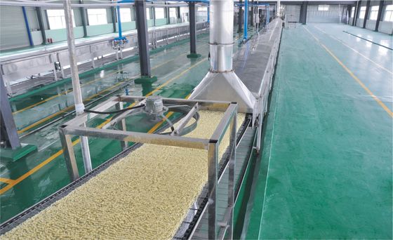 Porcellana tagliatella automatica fritta 11000bags/8h che fa la linea di produzione a macchina fornitore