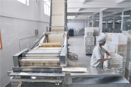 Porcellana Tagliatelle secche automatiche del bastone che fanno macchina, linea di produzione delle tagliatelle fornitore