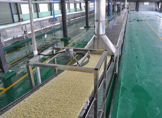 Tagliatelle fritte automatiche dell'acciaio inossidabile che fanno macchina con differenti capacità fornitore