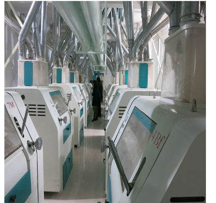 Tagliatella automatica di alta precisione che fa il consumo a macchina lavoro/di energia bassa fornitore